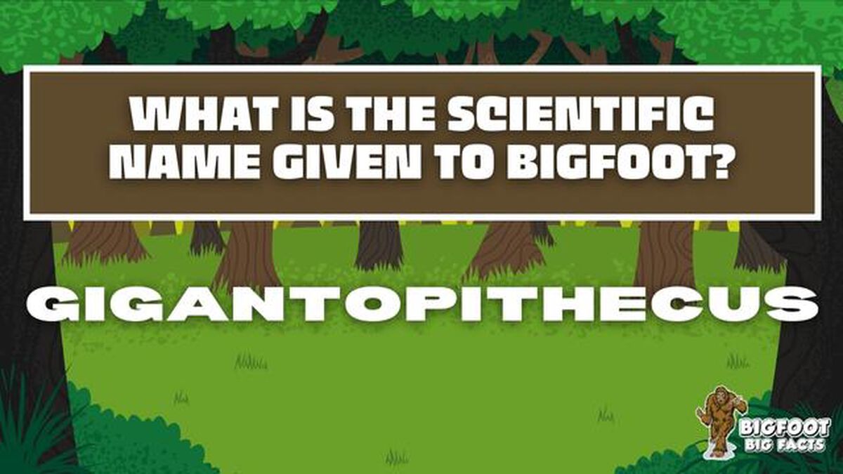Bigfoot Big Facts image number 5